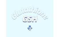 谷胱甘肽對果實采后保鮮的作用